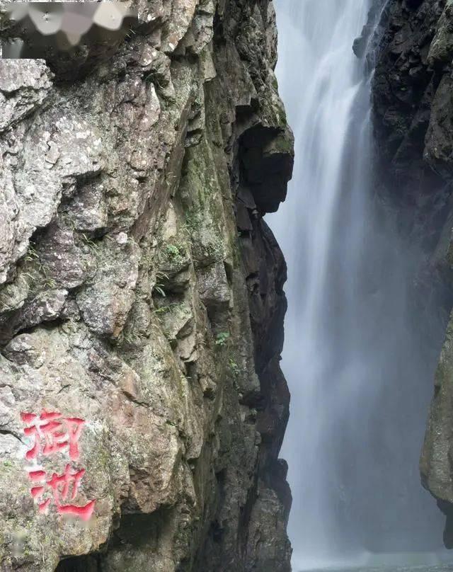 发现有趣热门话题!你经历过哪些事让你觉得“人性经得起考验”?红迪网平台震撼上线